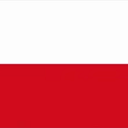 Płytki polskie