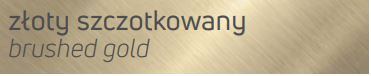  zloty-szczotkowany-deante-silia