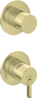 złoty szczotkowany